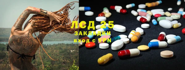 ГАЛЛЮЦИНОГЕННЫЕ ГРИБЫ Белоозёрский