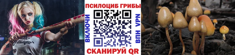 купить  сайты  Ильский  Галлюциногенные грибы GOLDEN TEACHER 